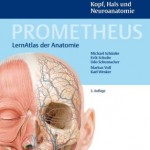 Prometheus Lernatlas Anatomie
