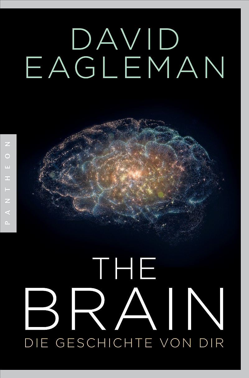 Cover Eagleman The Brain