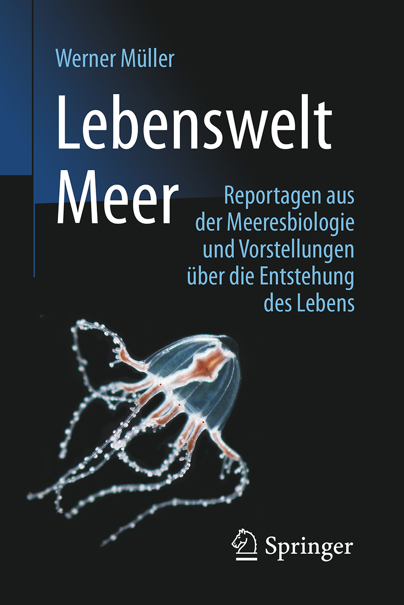 Werner Müller: Lebenswelt Meer