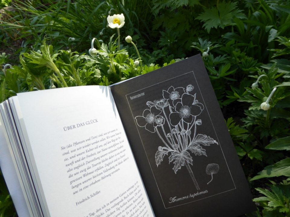 ByungChul Han Lob der Erde Eine Reise in den Garten Elementares