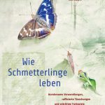 Johann Brandstetter/Elke Zippel: Wie Schmetterlinge leben