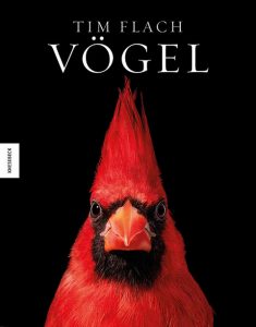 Cover Flach Vögel