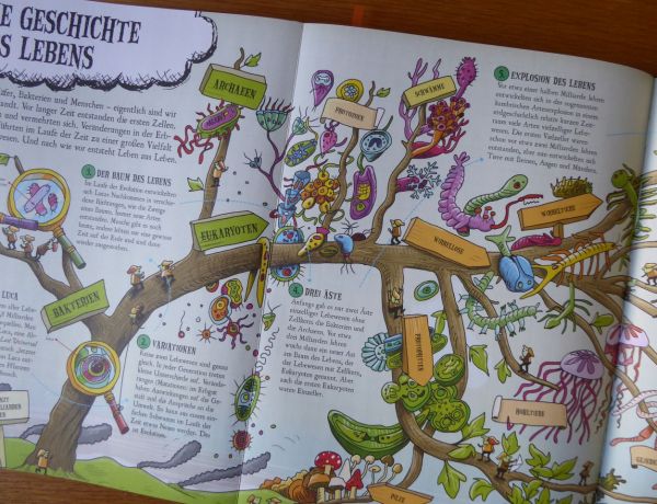 Die Geschichte des Lebens