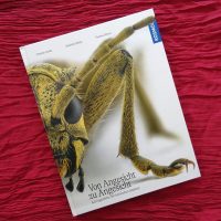 Danke Eulberg Hörren Buch: Von Angesicht zu Angesicht